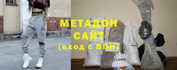 индика Алексин