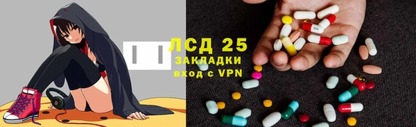 apvp Алзамай
