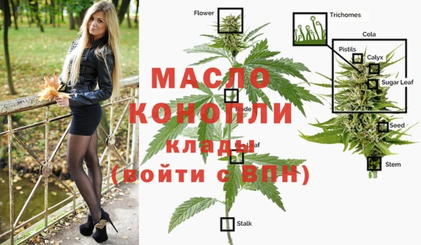 сатива Алексеевка