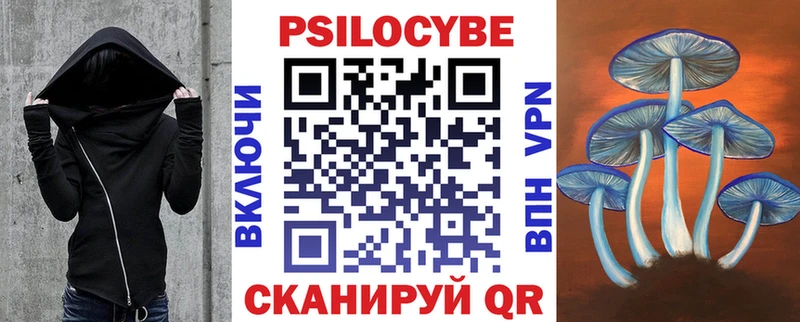 как найти закладки  Белый  Псилоцибиновые грибы Psilocybine cubensis 